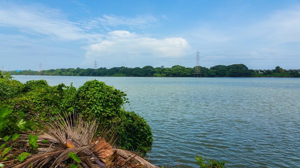 River View Guest House - Kavitha Residency Mangalore Buitenkant foto